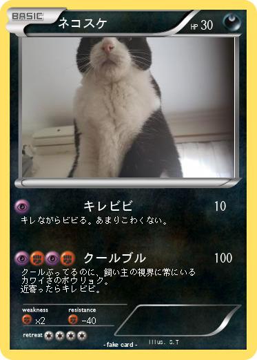Pokemon ネコスケ