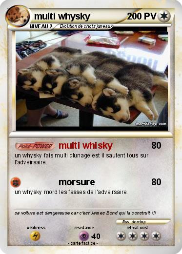 Pokemon multi whysky
