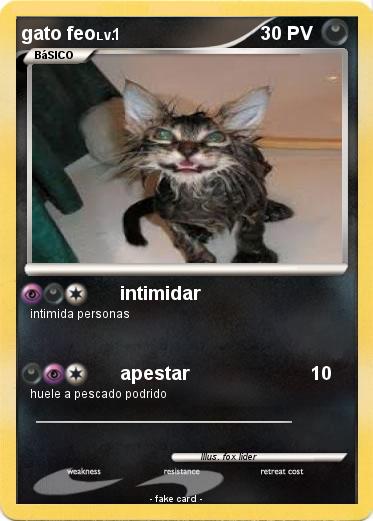 Pokemon gato feo