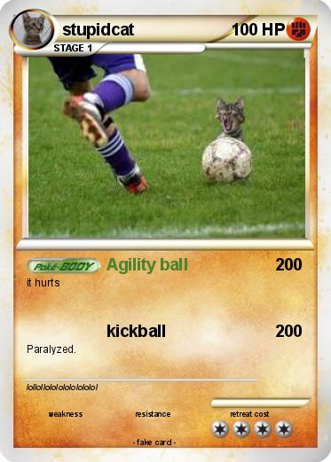 Pokemon stupidcat