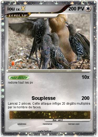 Pokemon iou