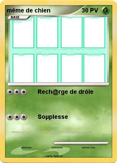 Pokemon même de chien