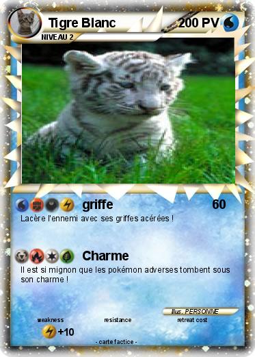 Pokemon Tigre Blanc
