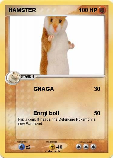 Pokemon HAMSTER