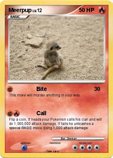 Pokemon Meerpup