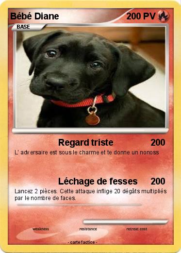 Pokemon Bébé Diane