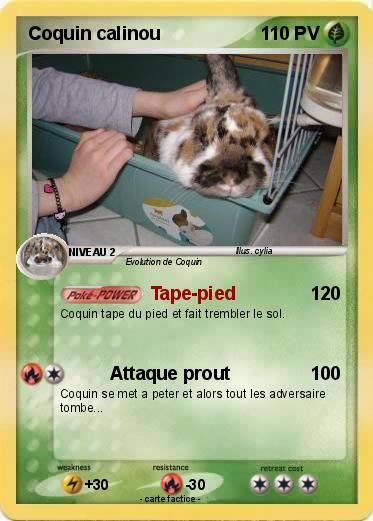 Pokemon Coquin calinou