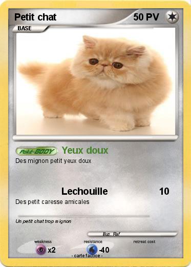 Pokemon Petit chat
