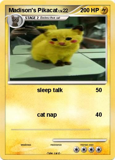 Pokemon Madison's Pikacat
