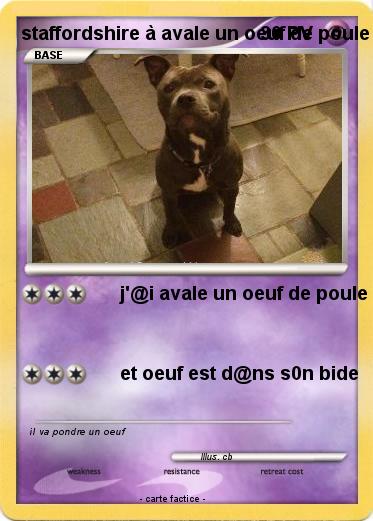 Pokemon staffordshire à avale un oeuf de poule