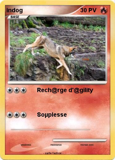 Pokemon indog
