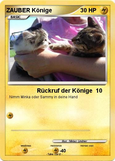 Pokemon ZAUBER Könige