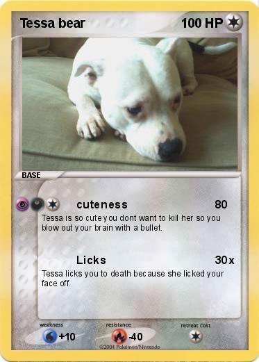 Pokemon Tessa bear