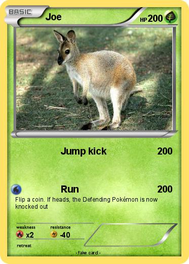 Pokemon Joe