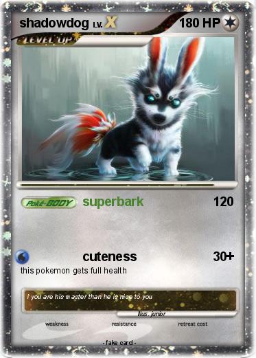 Pokemon shadowdog