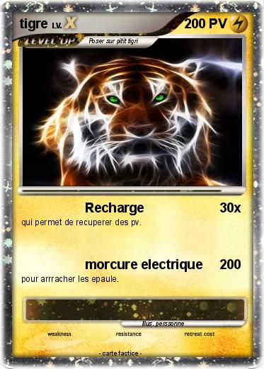 Pokemon tigre