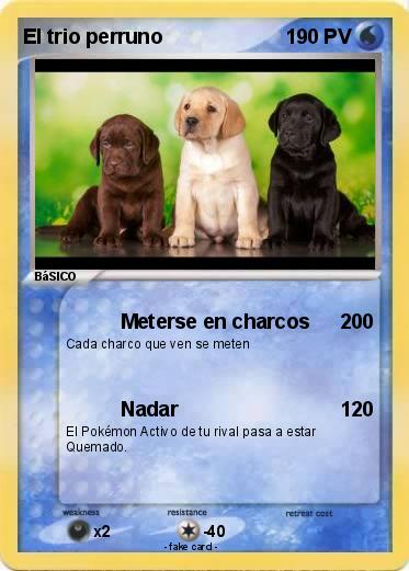Pokemon El trio perruno
