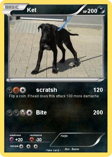 Pokemon Ket