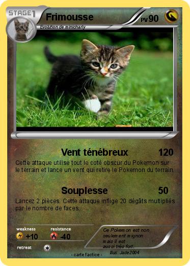 Pokemon Frimousse