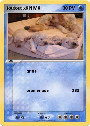 Pokemon toutout x6 NIV.6