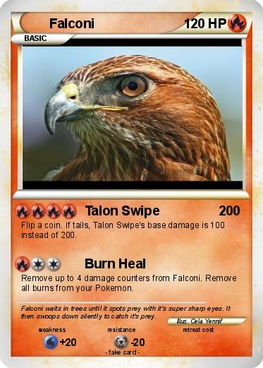 Pokemon Falconi