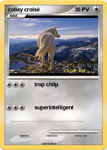 Pokemon colley croisé