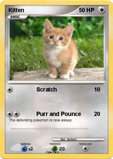 Pokemon Kitten