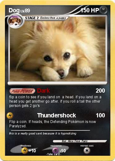 Pokemon Dog