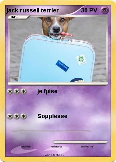 Pokemon jack russell terrier