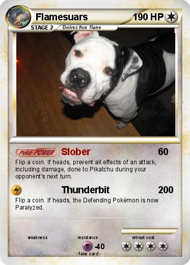 Pokemon Flamesuars