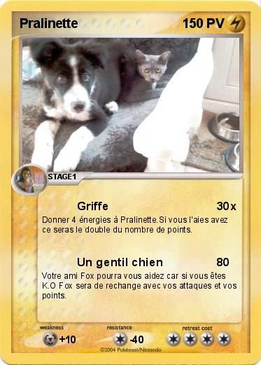 Pokemon Pralinette