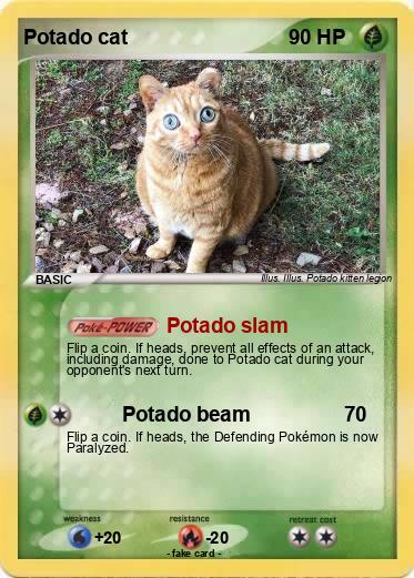 Pokemon Potado cat