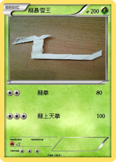Pokemon 龍暴雪王