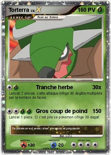 Pokemon Torterra