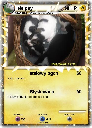 Pokemon ele psy