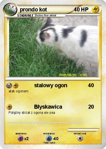 Pokemon prondo kot