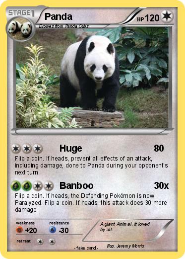 Pokemon Panda