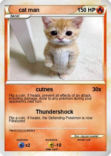Pokemon cat man