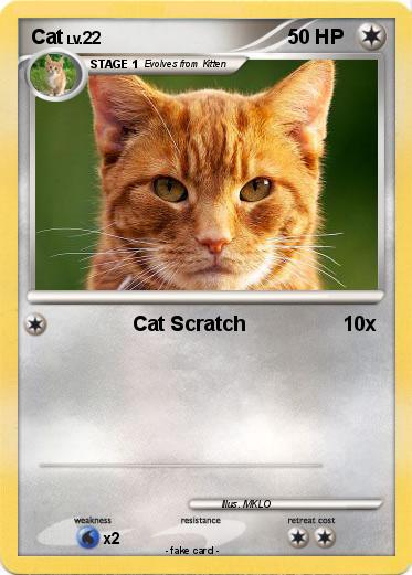 Pokemon Cat