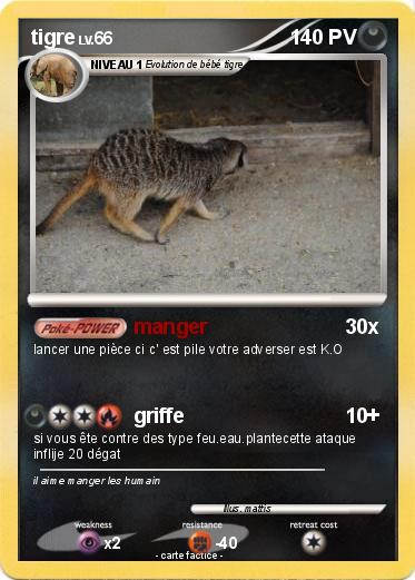 Pokemon tigre