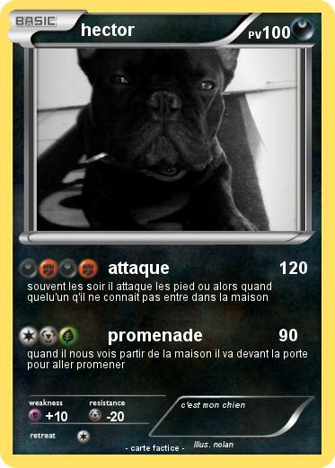 Pokemon hector