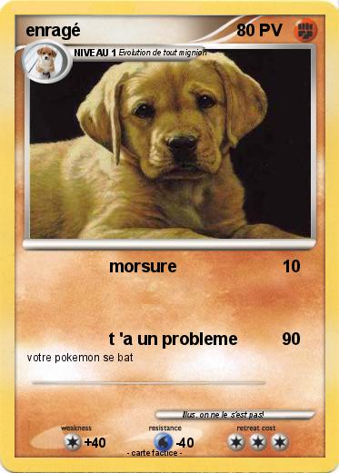 Pokemon enragé