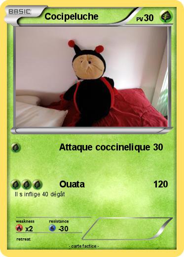 Pokemon Cocipeluche