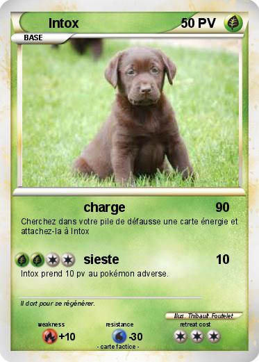 Pokemon Intox