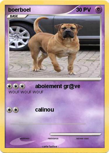 Pokemon boerboel