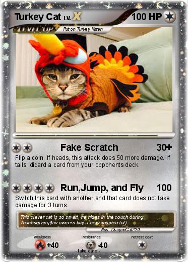 Pokemon Turkey Cat