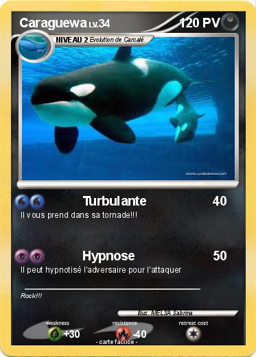 Pokemon Caraguewa
