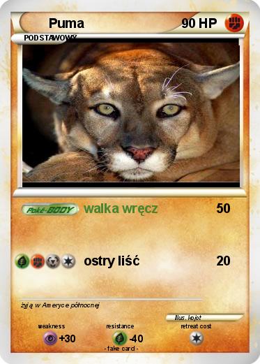 Pokemon Puma
