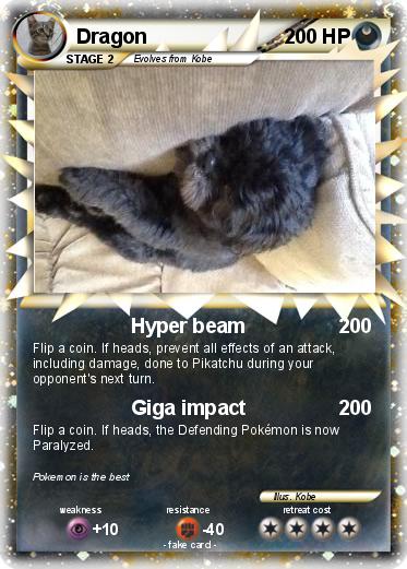 Pokemon Dragon