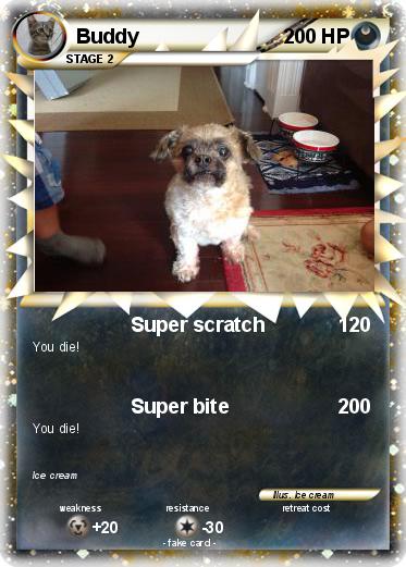 Pokemon Buddy